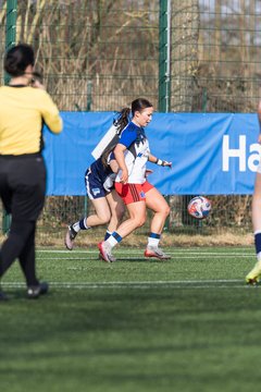 Bild 198 - wBJ Hamburger SV - Hertha BSC : Ergebnis: 2:1